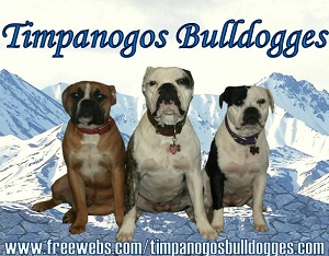 Timpanogos Bulldogges