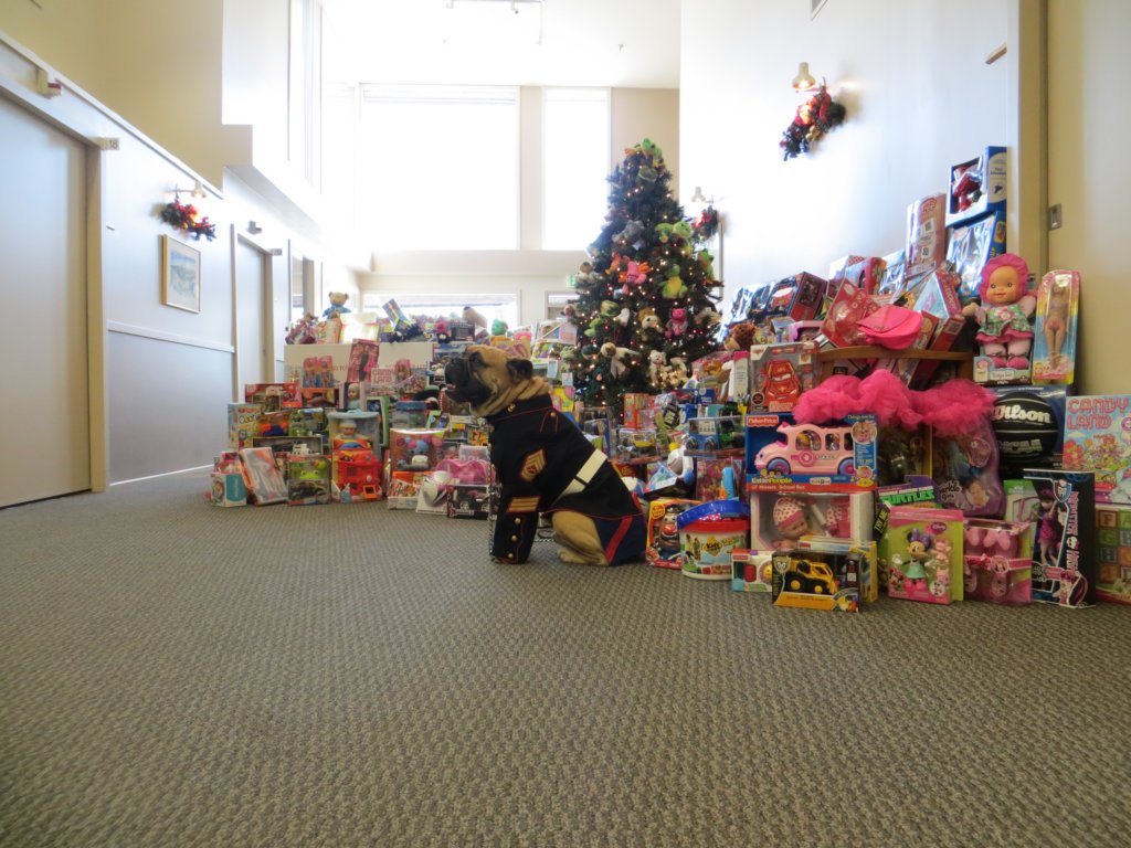 toysfortots2013saltlakesurgicalcentertoypickup2.jpg