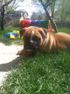 Riddick 7 Weeks